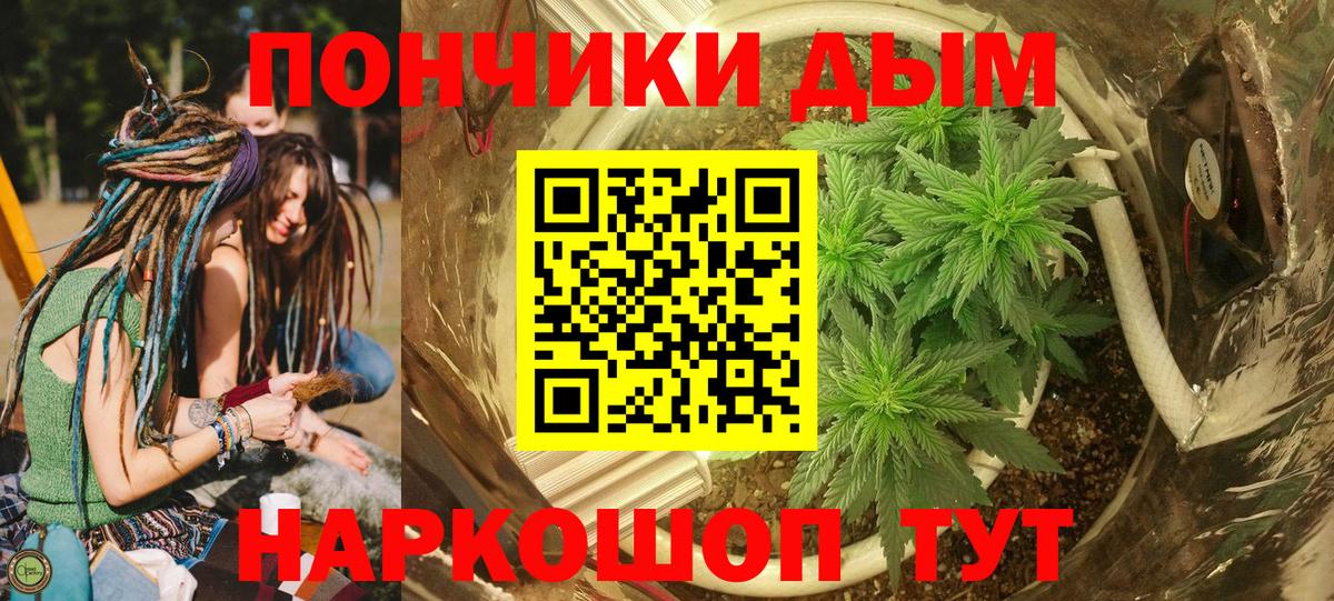 Бошки марихуана Ganja  Бошки Шишки план  Александров  Вход с VPN  Шишки марихуана ГИДРОПОН 